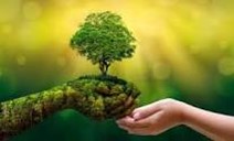 Passons au vert — Plantez un arbre et obtenez de l’oxygène gratuitement